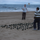 Illustration for article titled BioShock 2 Beach Event Sends Its Message in Bottles